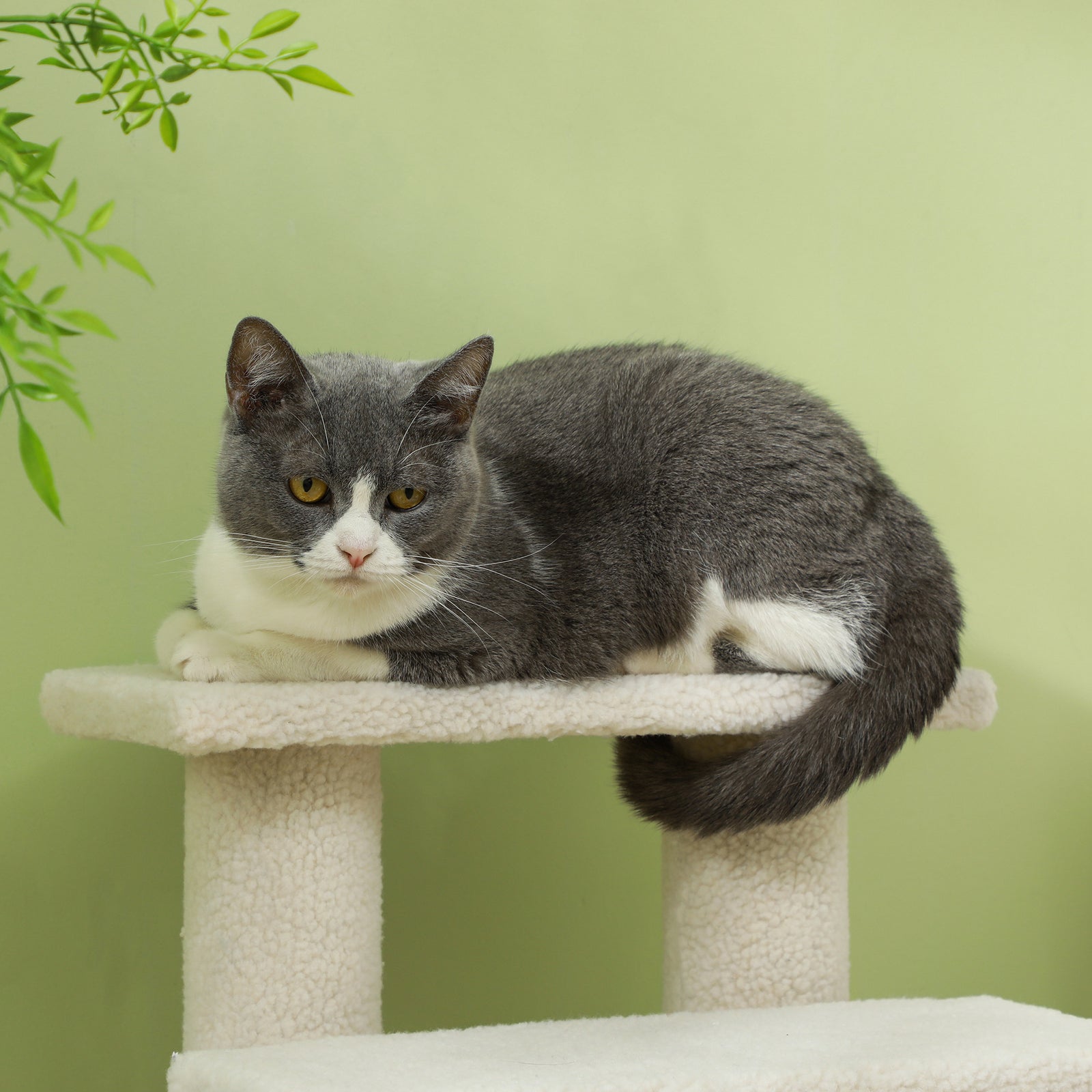 Dog Steps For Bed 4 Step Pet Stairs For Sofa Dog Cat Climb Ladder | Brown