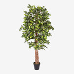 Artificial Handcrafted Ficus Tree With Real Wood Trunk | 6ft | Green