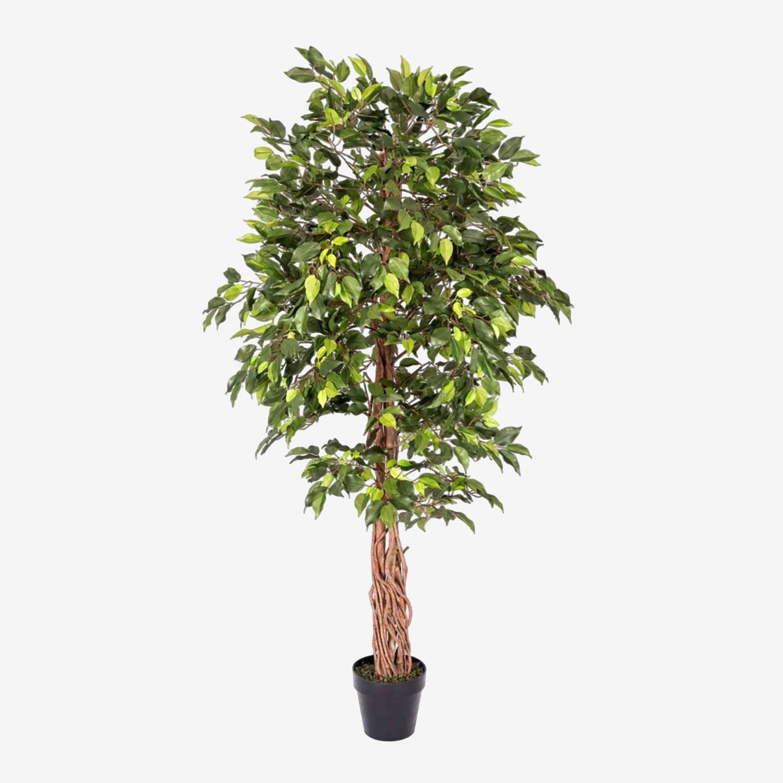 Artificial Handcrafted Ficus Tree With Real Wood Trunk | 6ft | Green