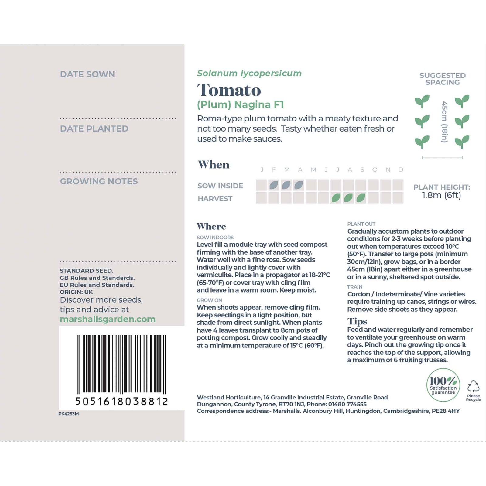 Plum Nagina F1 Tomato Seeds | 12 Seeds