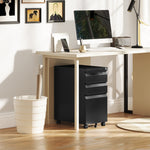 Steel File Cabinet With Lock And Wheels For Home Office | One Size | Black