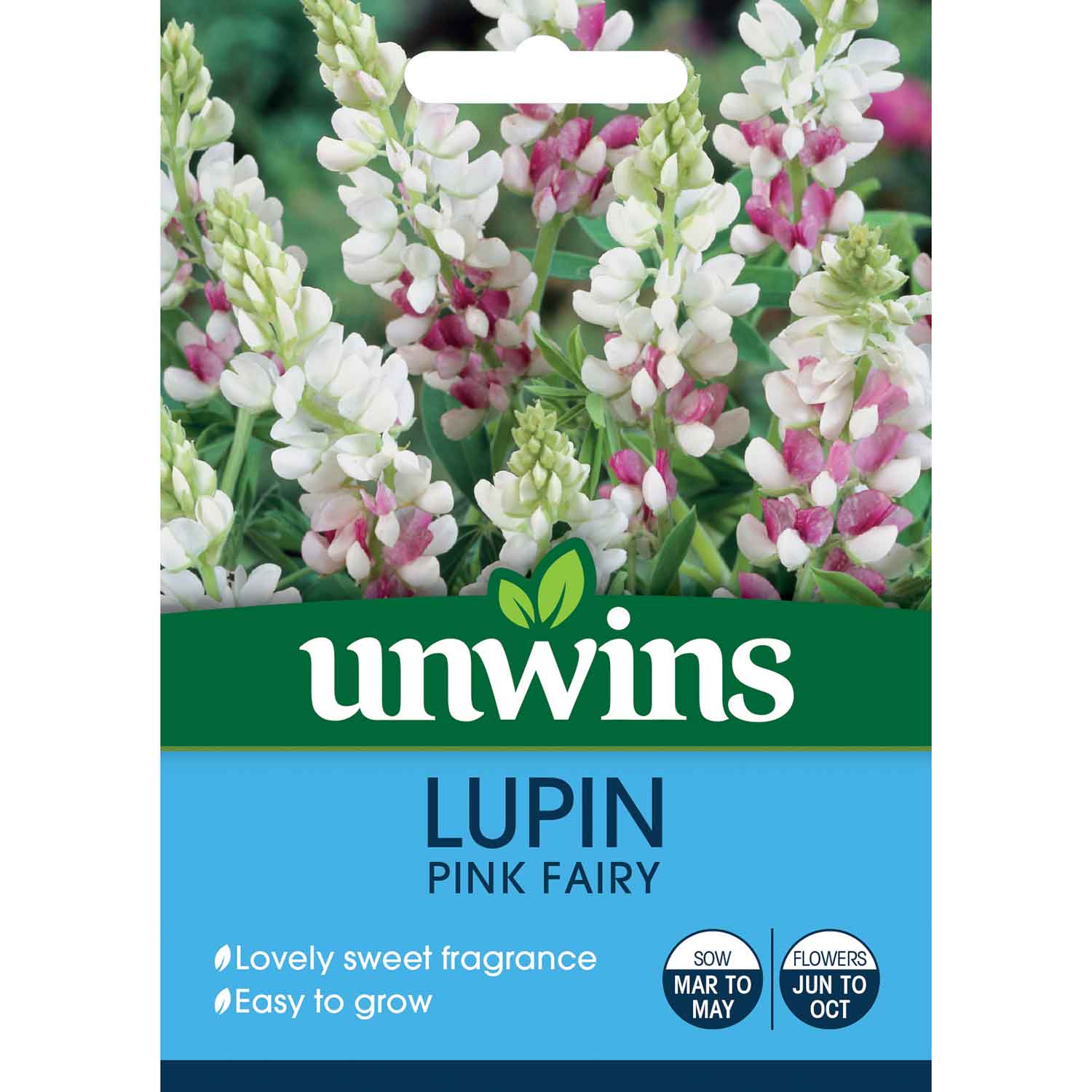 Pink Fairy Lupin  Fragrant Annual, Seeds | 40 Seeds