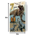 Age 7 Birthday Card Official Product