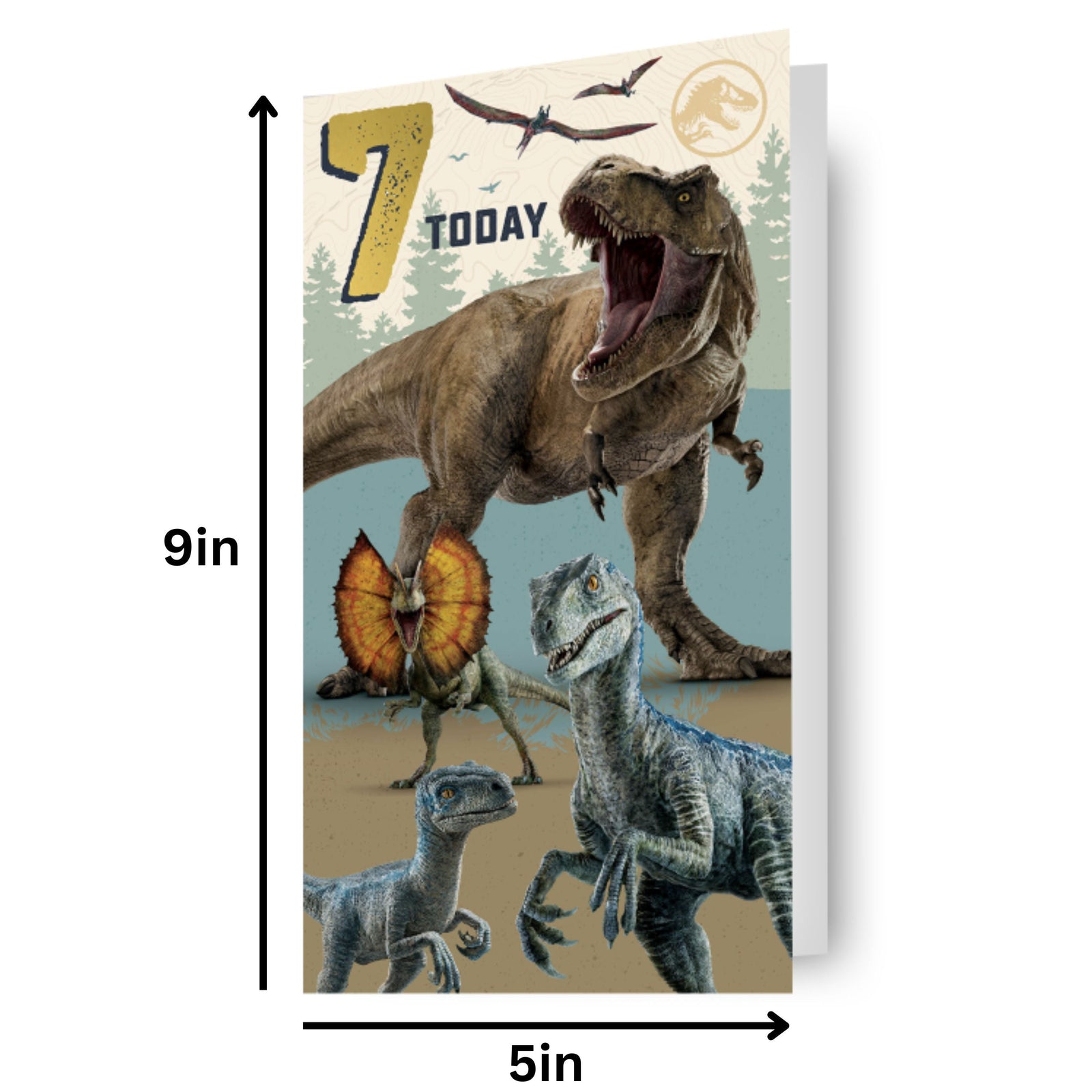Age 7 Birthday Card Official Product