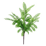 6 X 55cm Himilayan Maidenhair Fern Bush Light Green Plant
