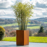 Corten Steel Tall Square Planter - Pre-rusted | 25cm x 25cm x 50cm | Brown
