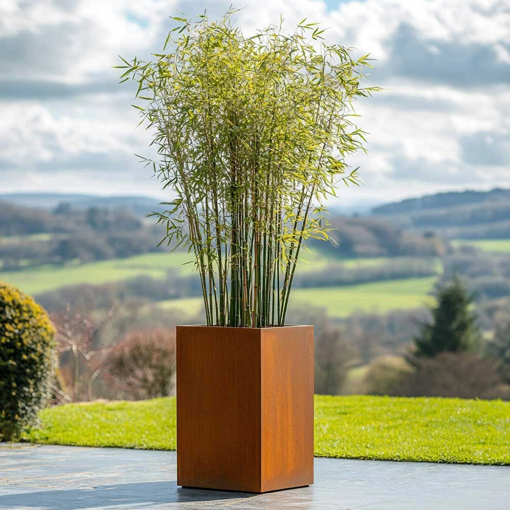 Corten Steel Tall Square Planter - Pre-rusted | 25cm x 25cm x 50cm | Brown