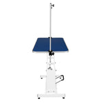 White Hydraulic Grooming Table | Blue