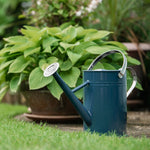 Galvanised Steel Watering Can | Almond Cream