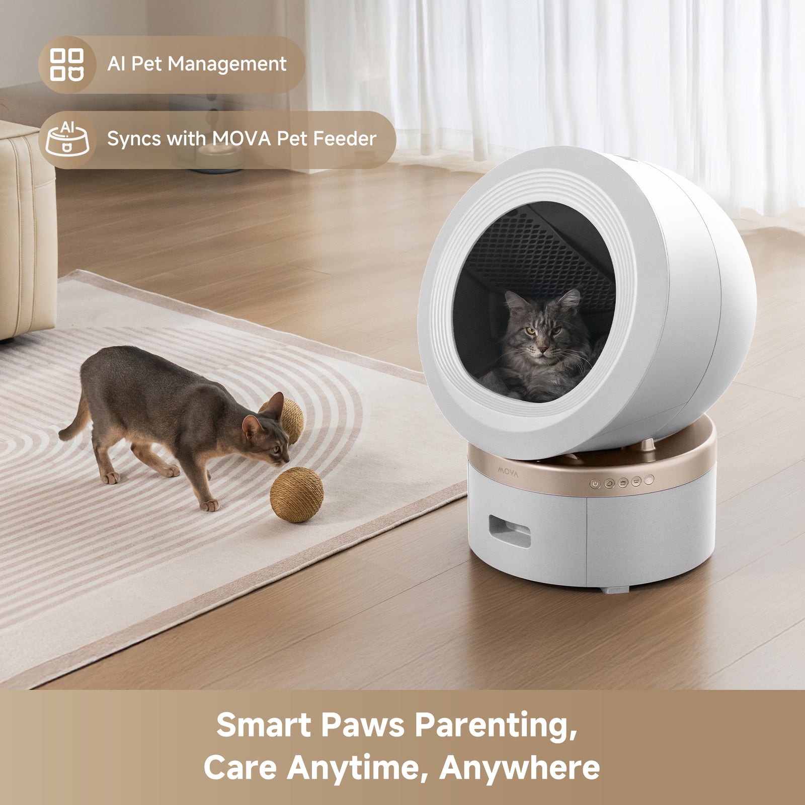 LB10 Prime Cat Litter Box