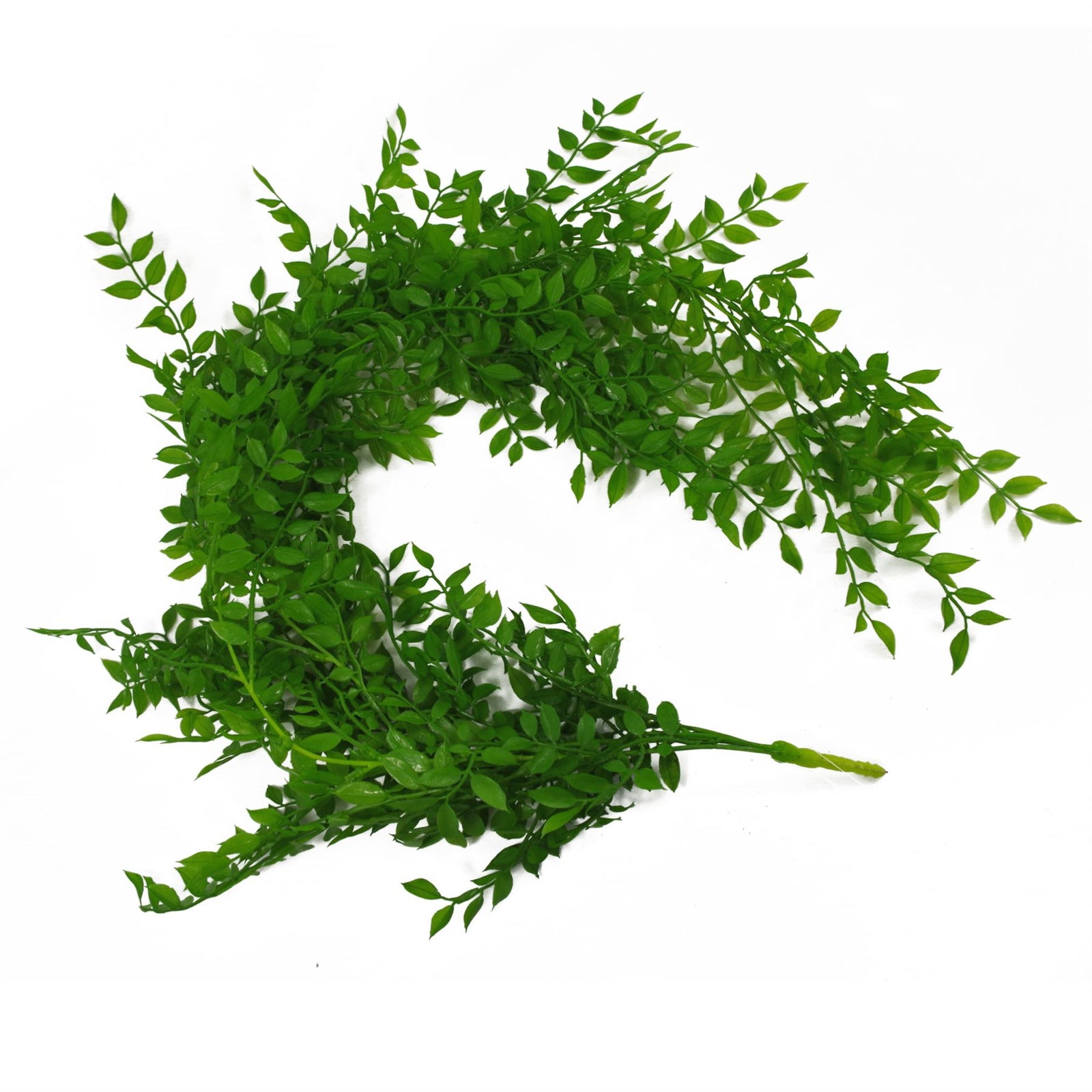 6 X 100cm Artificial Hanging String Of Pearls Fern Plant Light Green