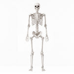 Yezi Halloween Skeleton Life Size Posable Jointed Decoration Haunted House White
