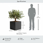 Zinc Galvanised Square Planter | 60cm x 60cm x 60cm | Grey