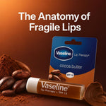 Lip Therapy Balm Sticks, Cocoa Butter 4gm Moisturizing Lip Care | Set-of-8