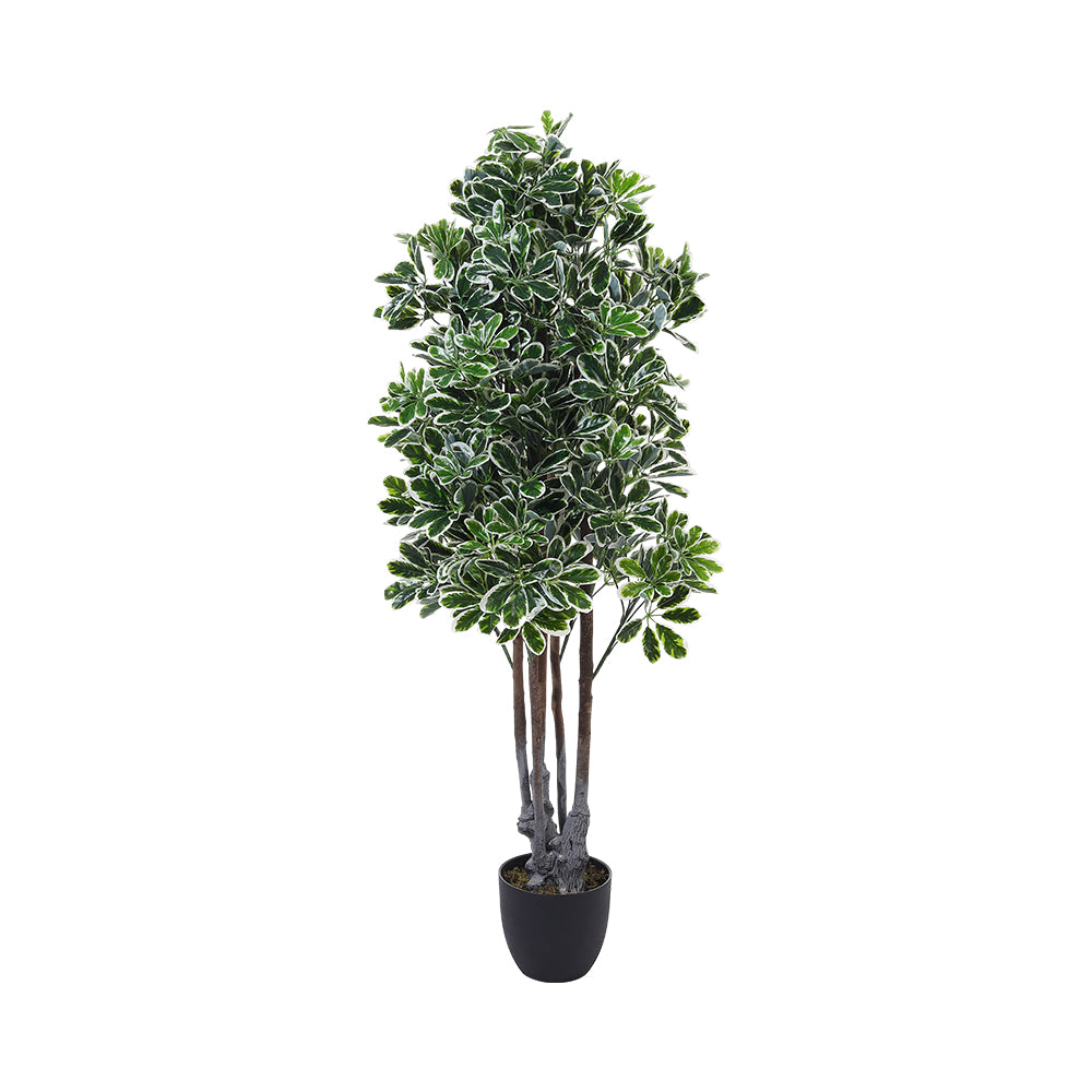 Lifelike 160cm Schefflera Tree In Decorative Pot Premium Artificial Greenery For Modern Interiors