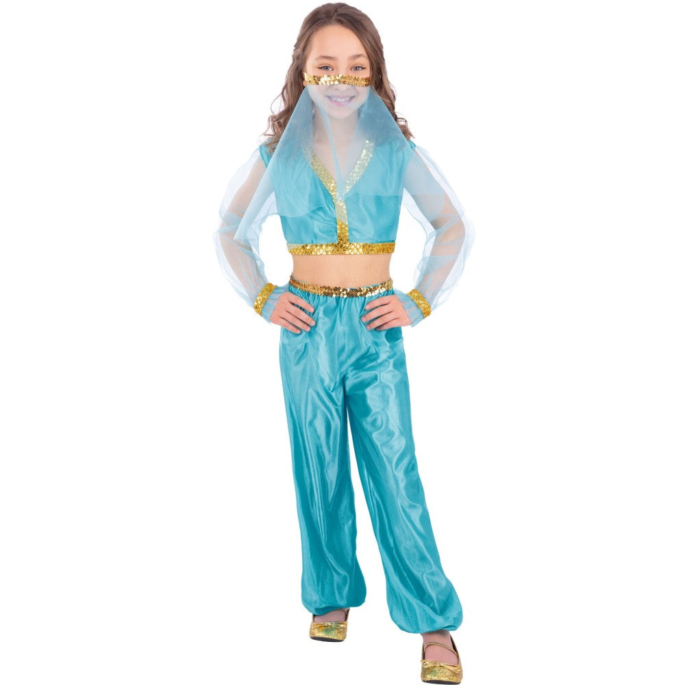 Arabian Princess Costume | Age 10-12