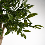 Artificial 140cm Uv Resistant Ruscus Tree
