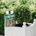Buxus 2-in-1 Feed & Protect Duo | Pair