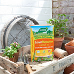 Lawn Meadow Wildflower & Lawn Seed Mix | 350sqm