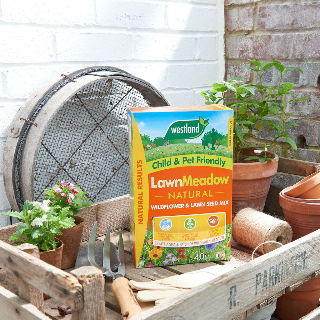 Lawn Meadow Wildflower & Lawn Seed Mix | 350sqm