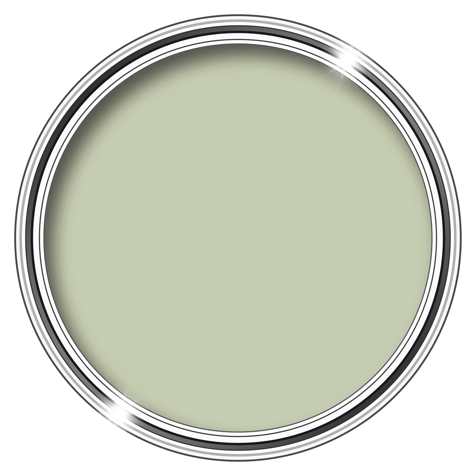 Anti-mould Paint - Premium Colour & Protection For Interior Walls & Ceilings | 1L | Sage Green