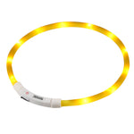 Led Dog Collar | One Size | Yellow
