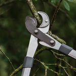 Telescopic Geared Anvil Loppers, Cutting Capacity | Medium