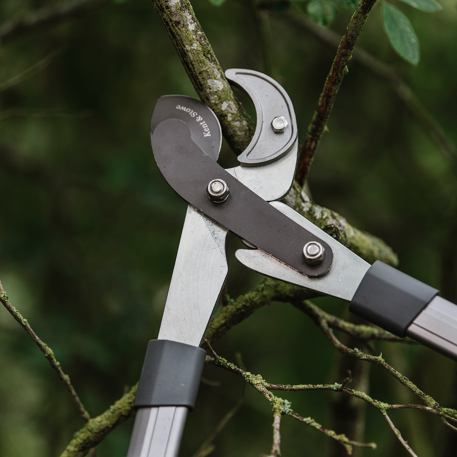 Telescopic Geared Anvil Loppers, Cutting Capacity | Medium