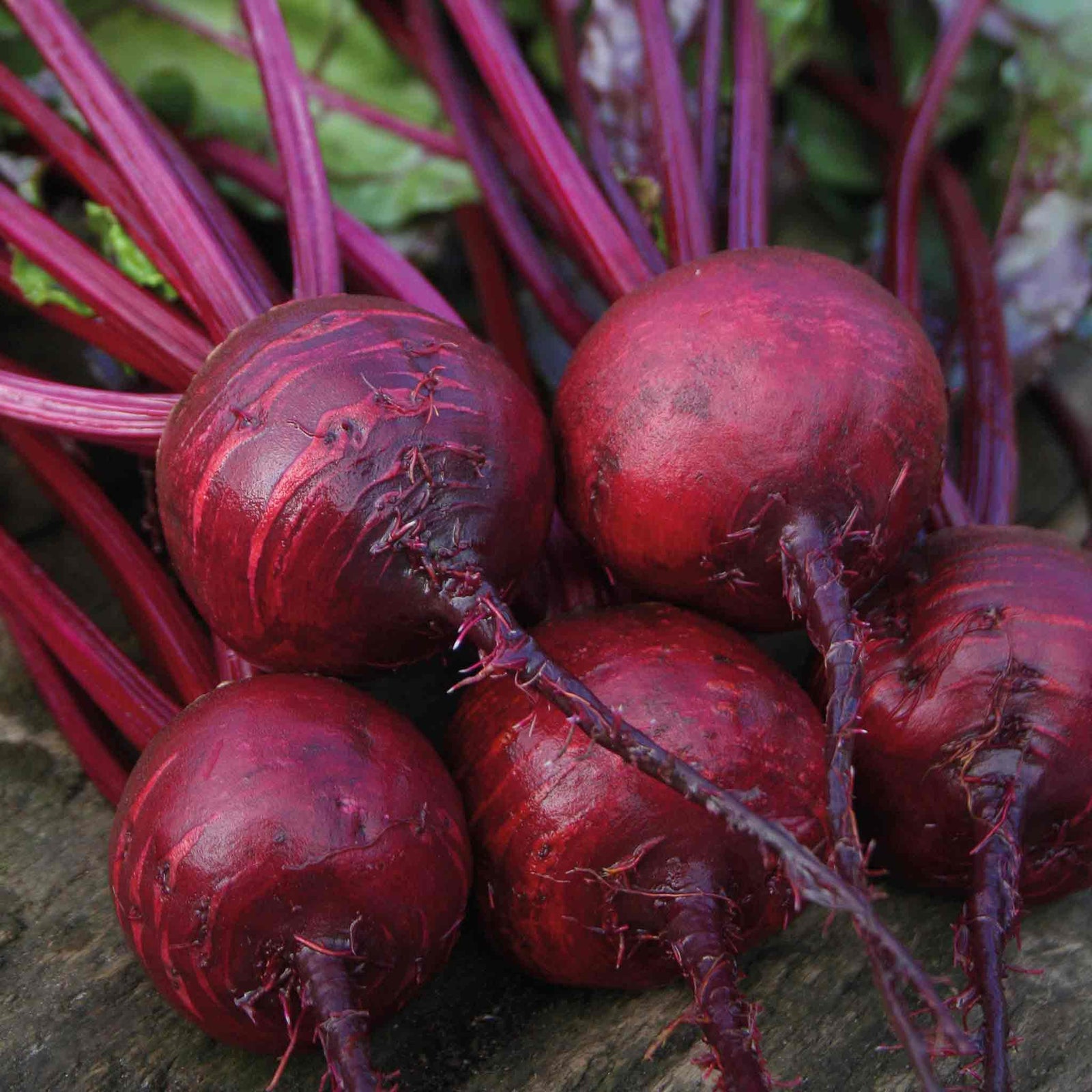 Beetroot 'boston' | 200 Seeds