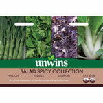 Spicy Salad Collection Seeds | 2 Packets x Seeds