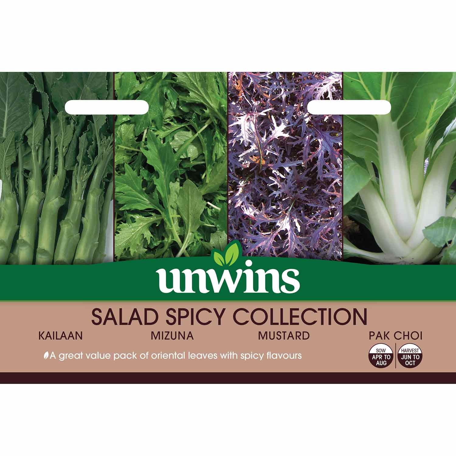 Spicy Salad Collection Seeds | 2 Packets x Seeds