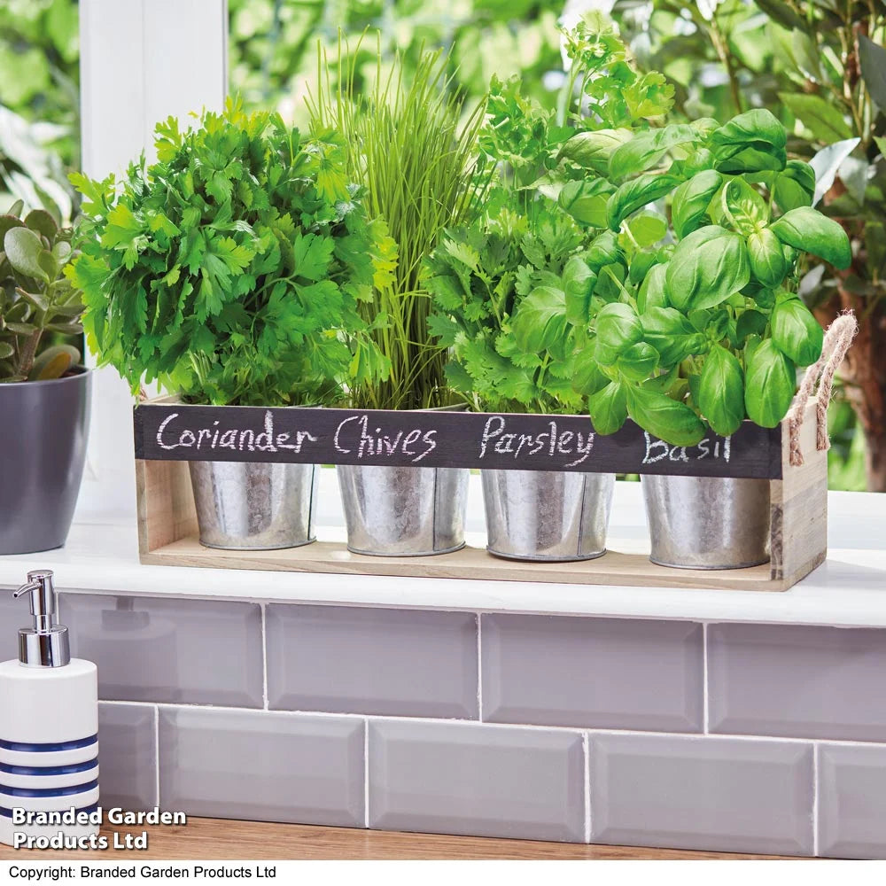 Gift Chalk Board Herb Garden Gift Set
