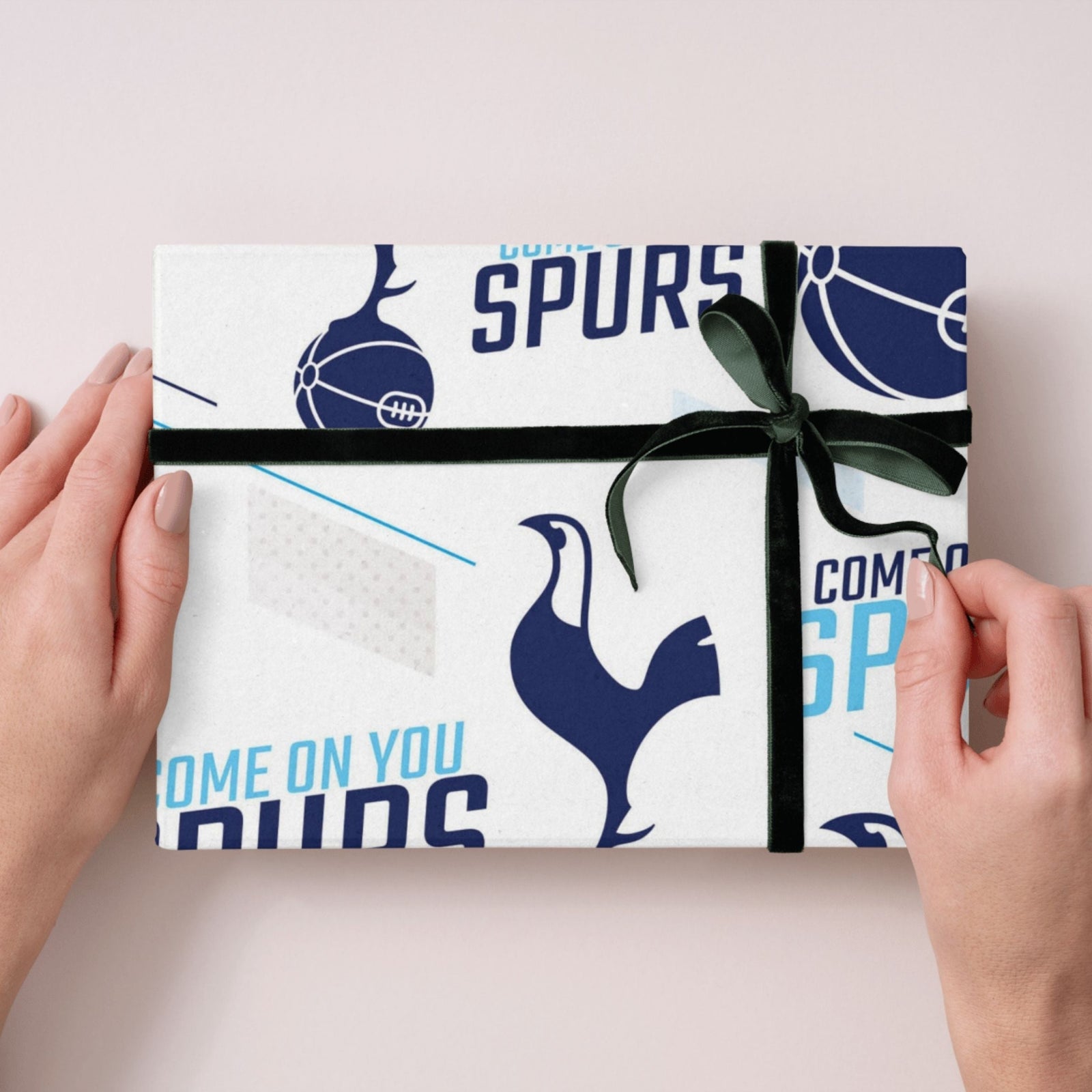 Gift Wrap, 2 Sheet 2 Tag, Official Product