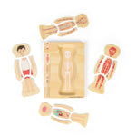 Wooden Human Anatomy Puzzle (Male)