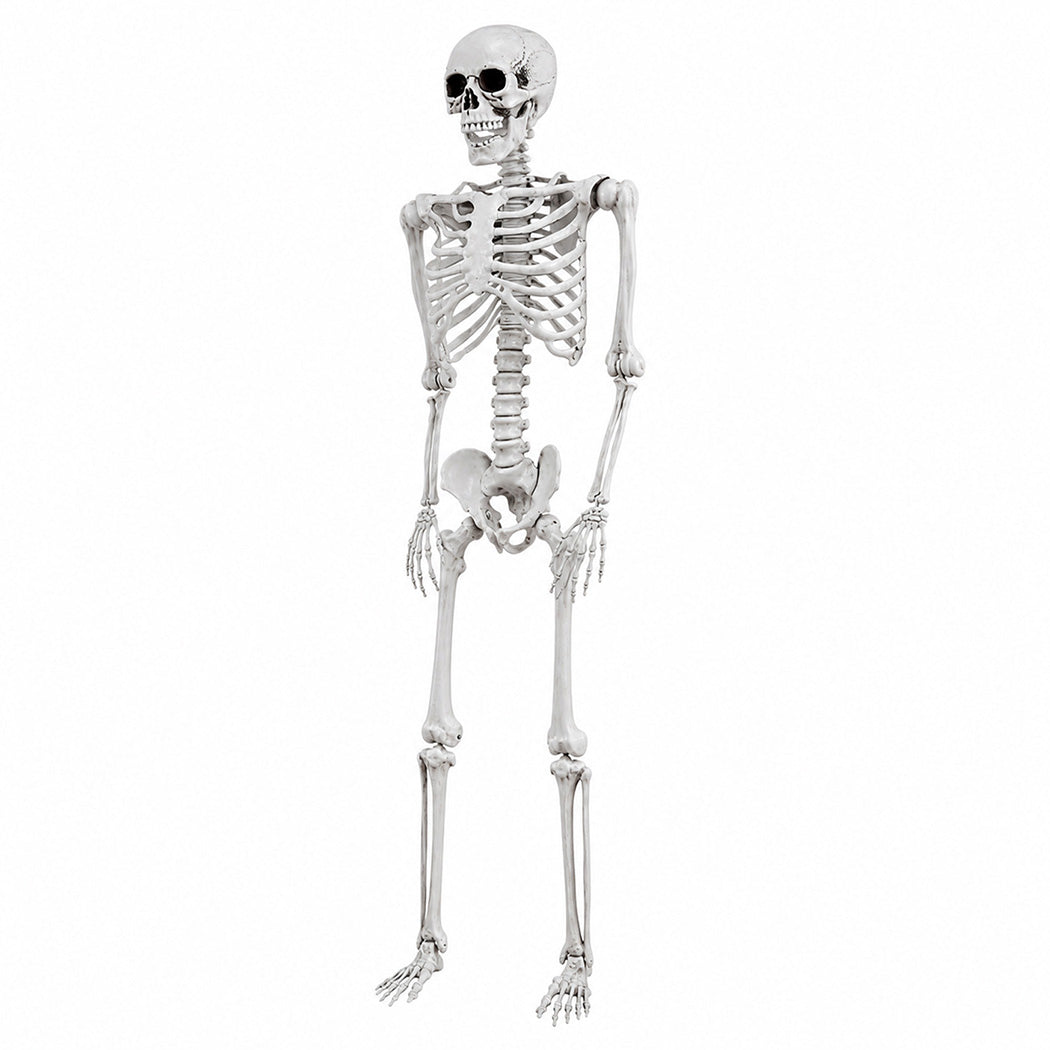 Yezi Halloween Skeleton Life Size 169cm Posable Jointed Abs Spooky Patio White