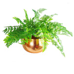 Xl Metal Bowl Planter 32 X 20cm Hammered Copper Colour - Straight Edge