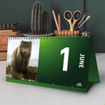 Perpetual Desk Calendar Official Product