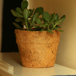Pots 28cm