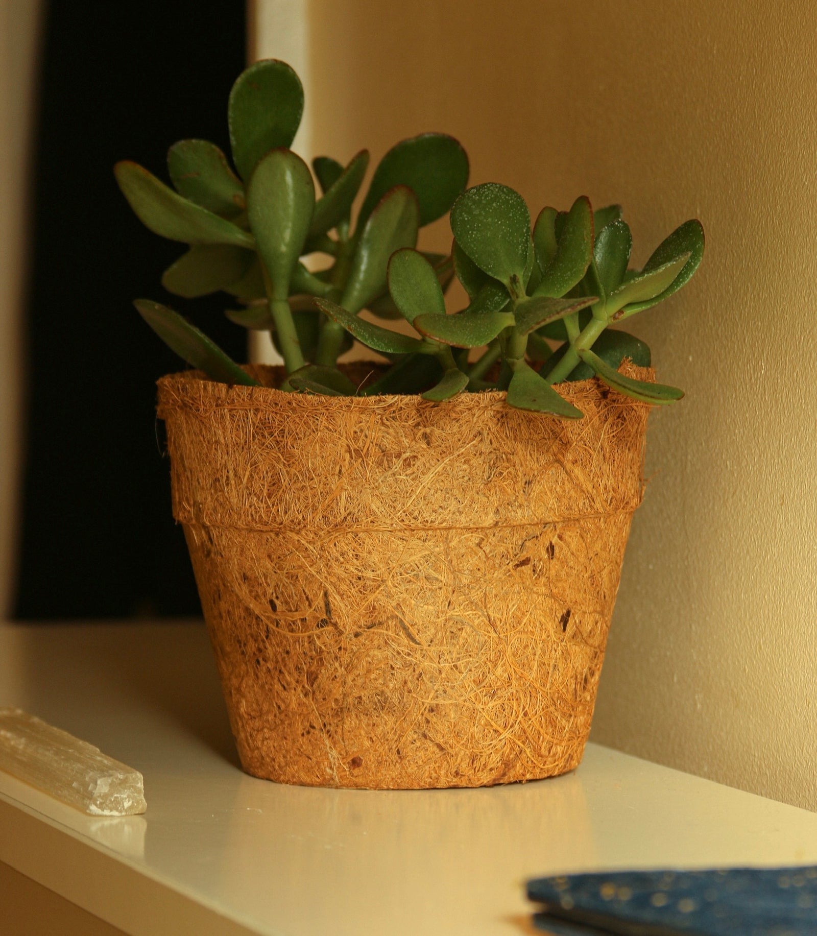 Pots 28cm