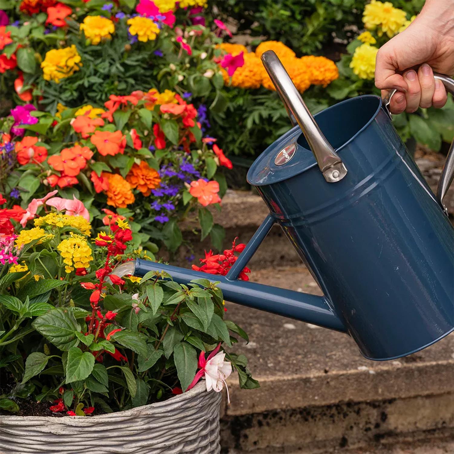 Boost All Purpose Liquid Plant Feed For Healthy Growth 3 Litre