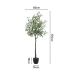 Artificial Olive Tree Decorative Plant In Planter | 170cm