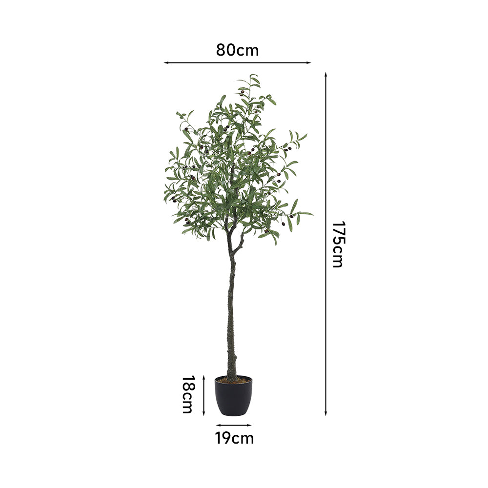 Artificial Olive Tree Decorative Plant In Planter | 170cm