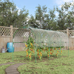 Tomato Greenhouse With Hoops, Stakes And Ropes
