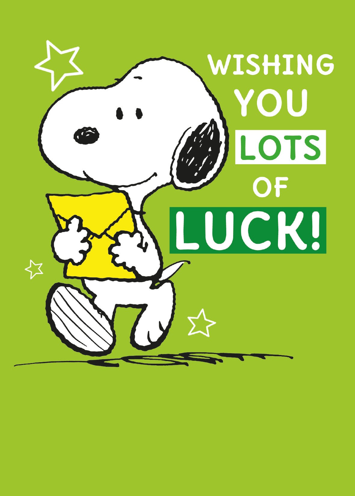 Snoopy Good Luck Card Official Product