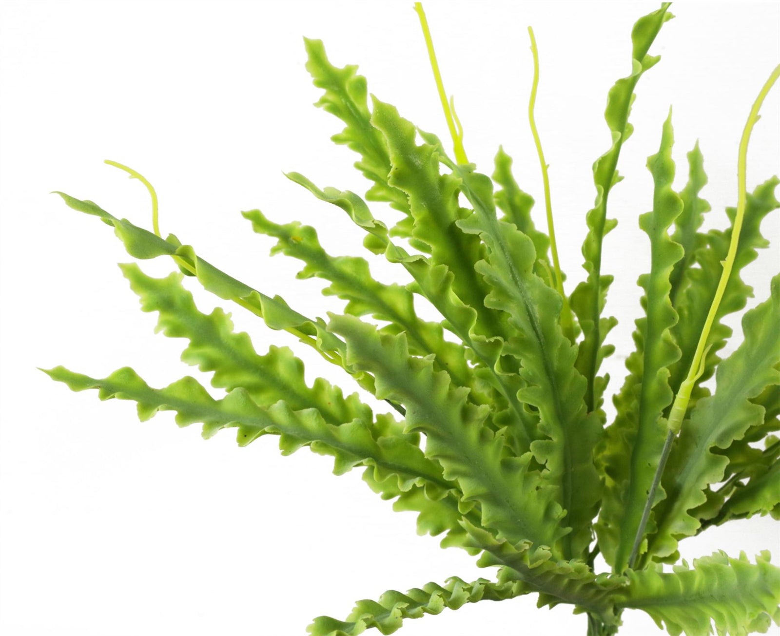 Artificial Fern Plant 40cm Artificial Crocodile Fern Plant Pack 12