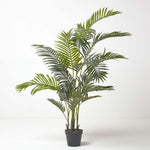 Areca Palm Tree In Pot | 160cm | Green