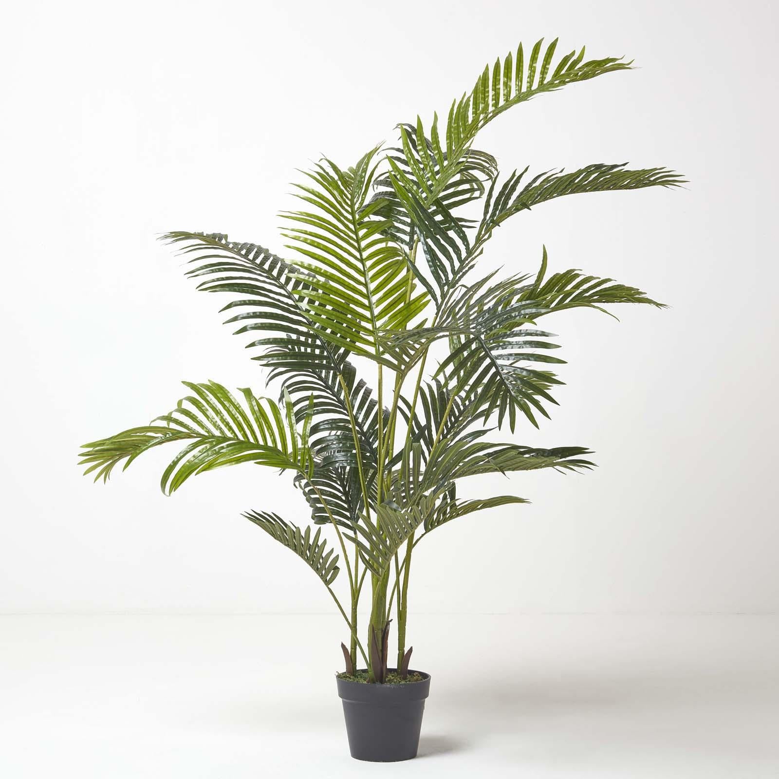 Areca Palm Tree In Pot | 160cm | Green