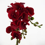 50cm Phalaenopsis Orchid Artificial Dark Red Gold Pot