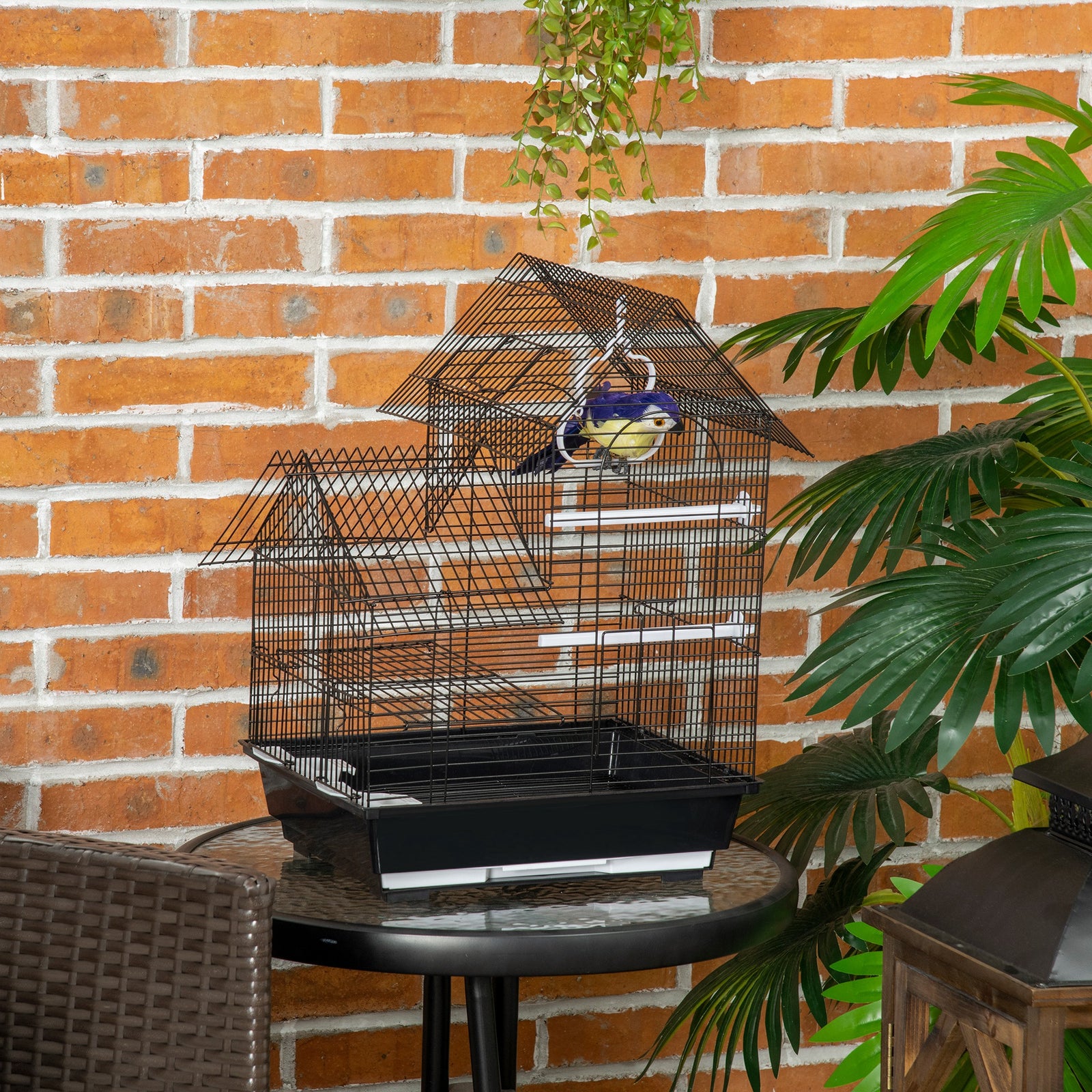 Metal Bird Cage, With Plastic Perch, Swing Ring, Handle, 39 X 33 X 47cm