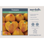 Tomato Seeds Gourmansun F1 - Oxheart Golden-orange, Blight Resistant | 6 Seeds